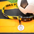 Livingston Dog Collar - Gold & Black Stripe Football Pet Collar