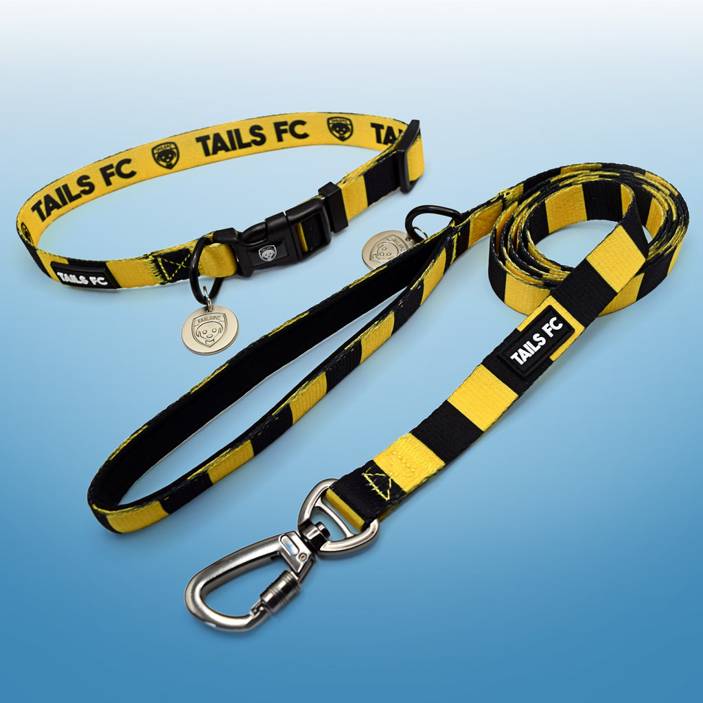Livingston Dog Set - Gold & Black Stripe Football Dog Collar and Leash Set
