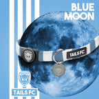 Manchester City Dog Set - Sky Blue & White Stripe Football Dog Collar and Leash Set