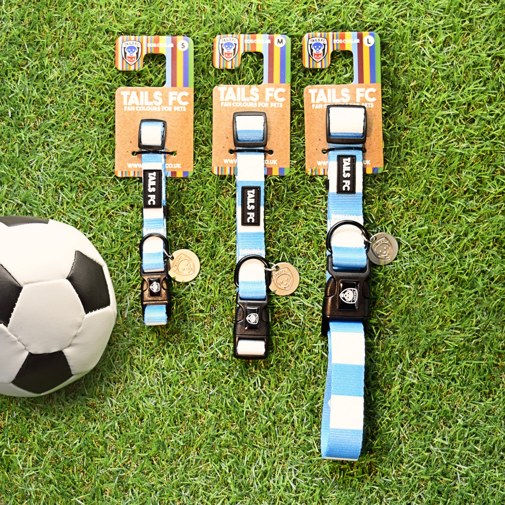 Manchester City Dog Collar - Sky Blue & White Stripe Football Pet Collar