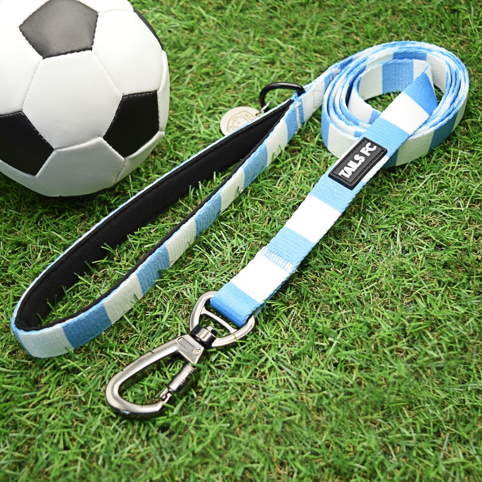 Manchester City Dog Set - Sky Blue & White Stripe Football Dog Collar and Leash Set