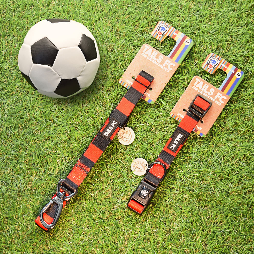 Manchester United Dog Set - Red & Black Stripe Football Dog Collar and Leash Set
