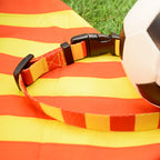 Motherwell Dog Set - Red & Gold Stripe Football Dog Collar and Leash Set