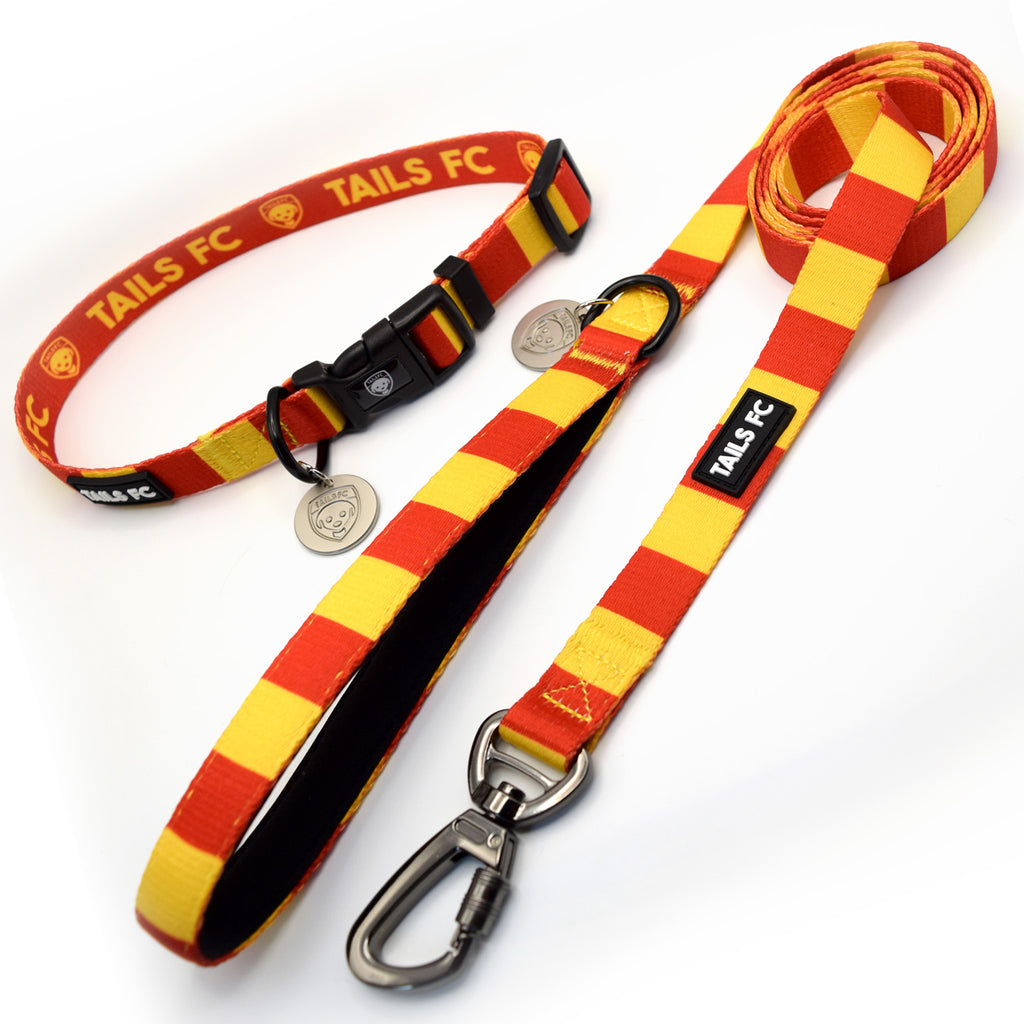 Motherwell Dog Set - Red & Gold Stripe Football Dog Collar and Leash Set
