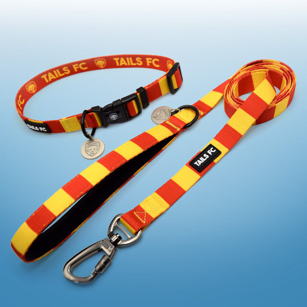 Motherwell Dog Set - Red & Gold Stripe Football Dog Collar and Leash Set