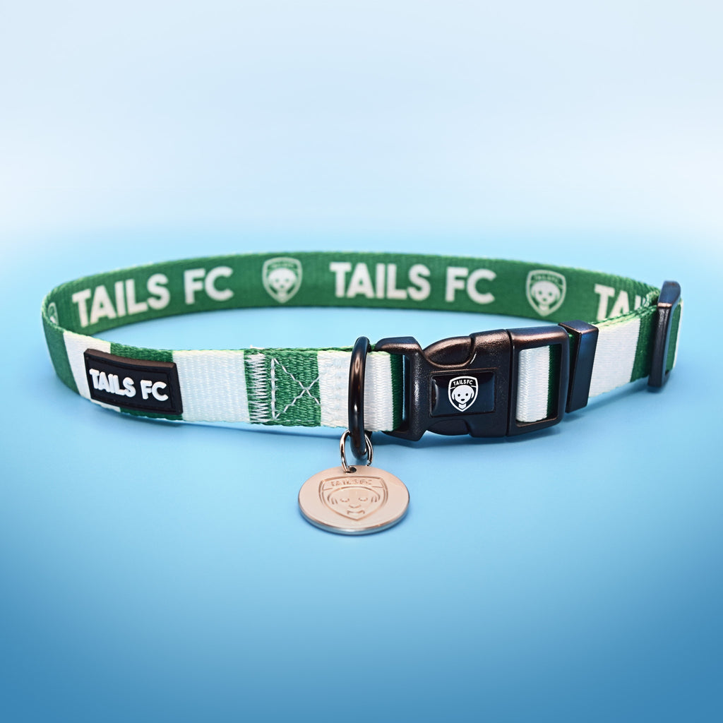 Northern Ireland Dog Collar - Green & White Stripe Football Pet Collar