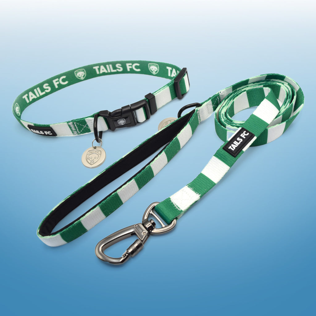 Northern Ireland Dog Set - Green & White Stripe Football Dog Collar and Leash Set