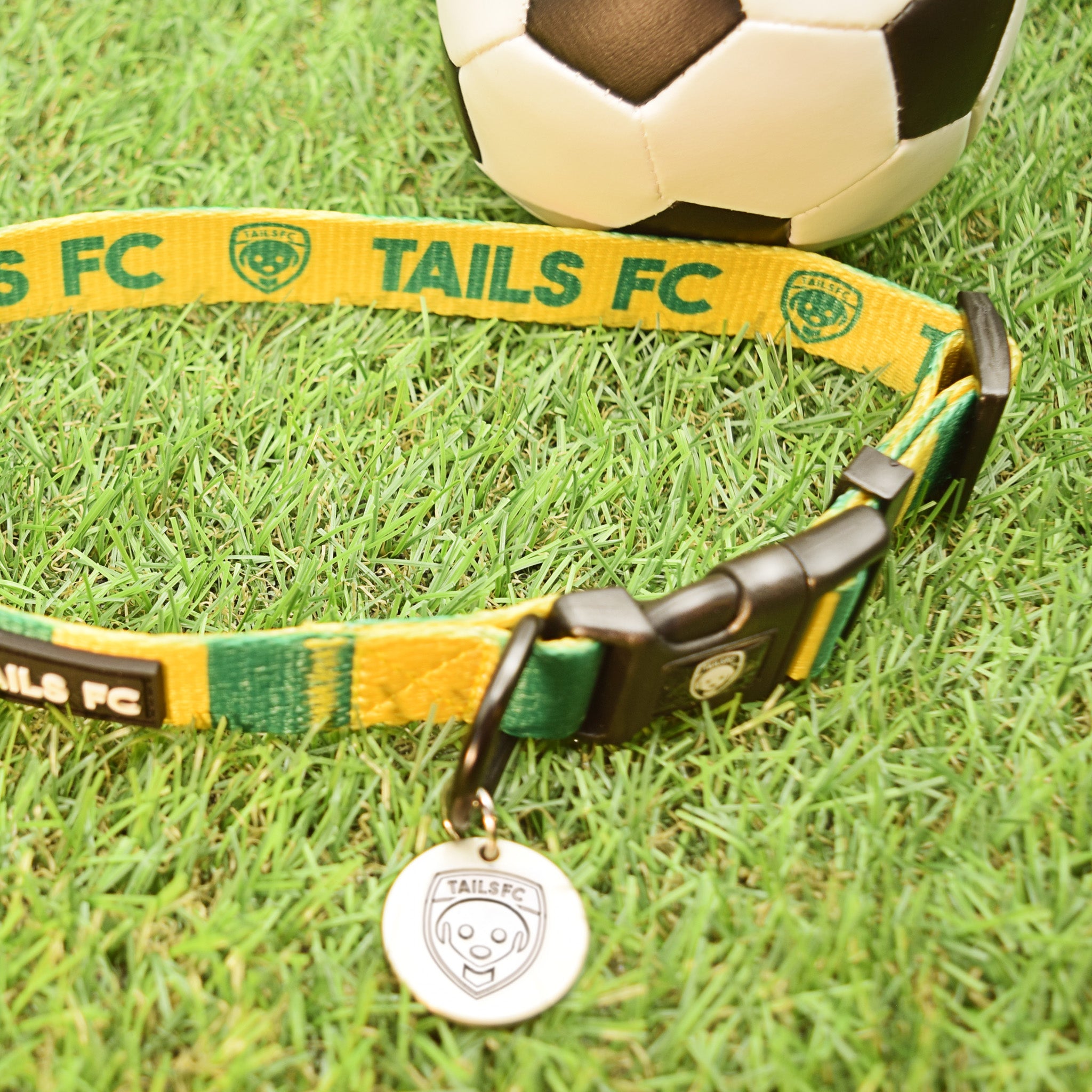 Norwich Dog Collar - Yellow & Green Stripe Football Pet Collar