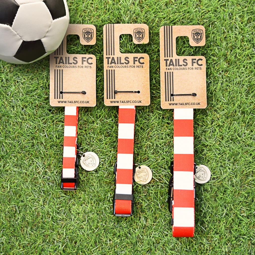 Nottingham Forest Dog Collar - Red & White Stripe Football Pet Collar