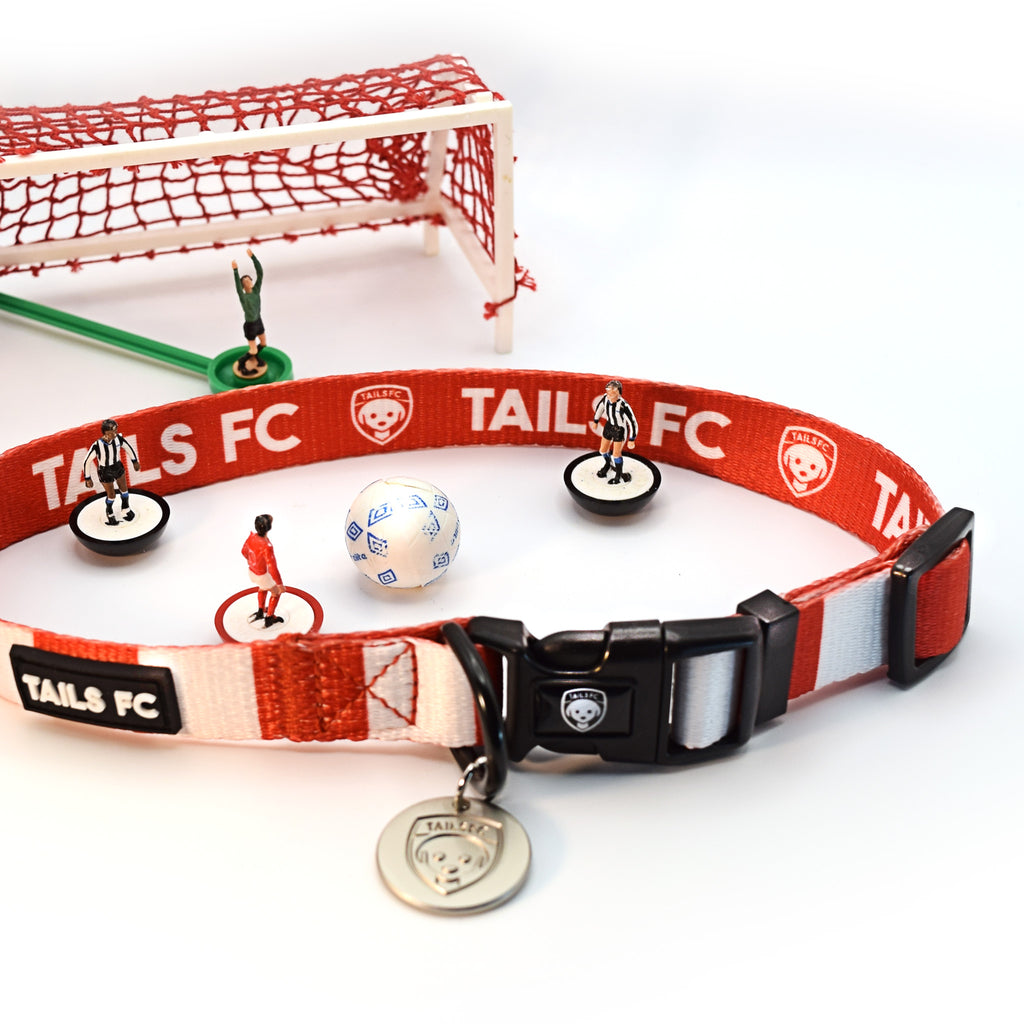 Nottingham Forest Dog Collar - Red & White Stripe Football Pet Collar