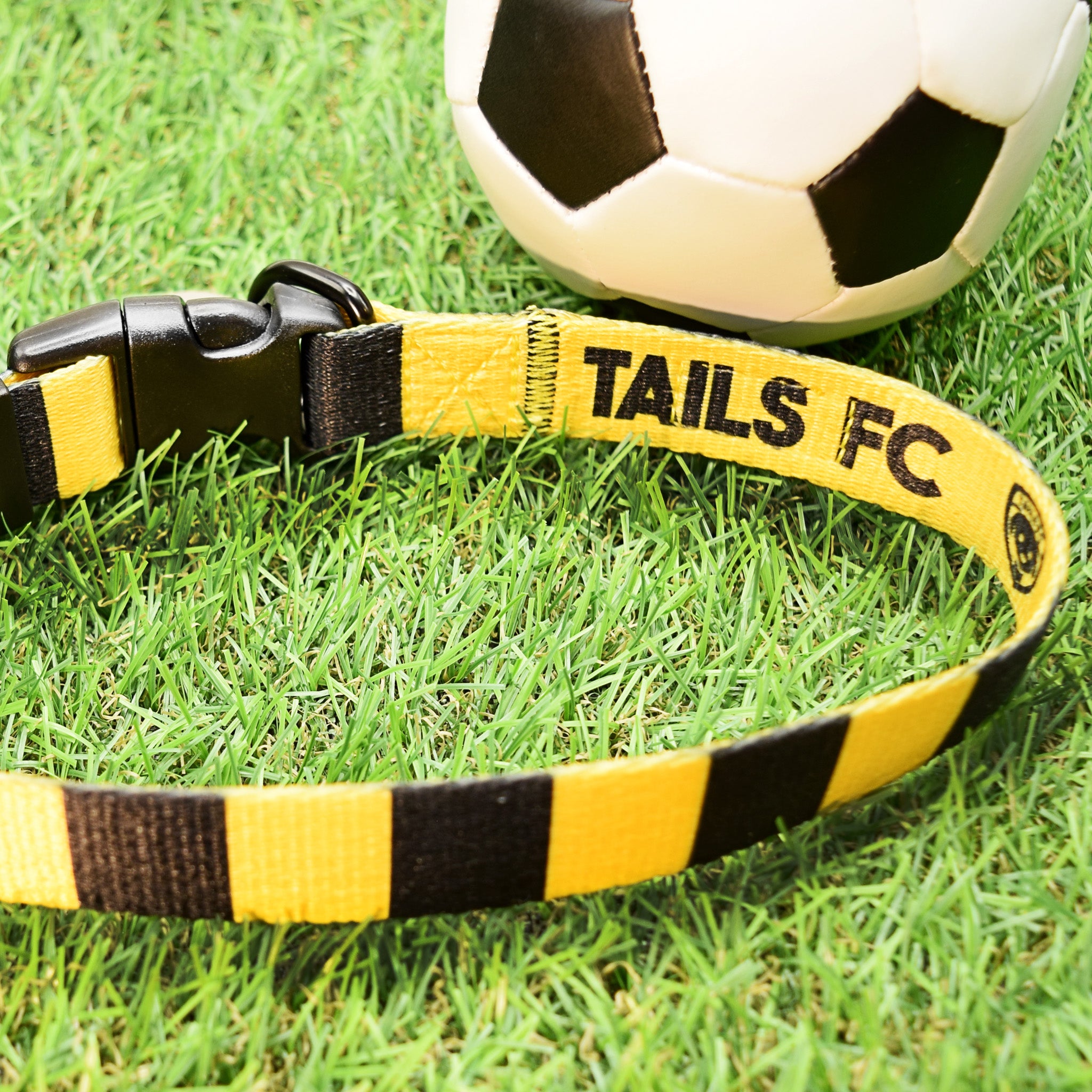 Oxford Dog Collar - Yellow & Black Stripe Football Pet Collar