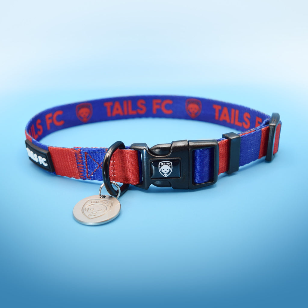 PSG Dog Collar - Red & Blue Stripe Football Pet Collar