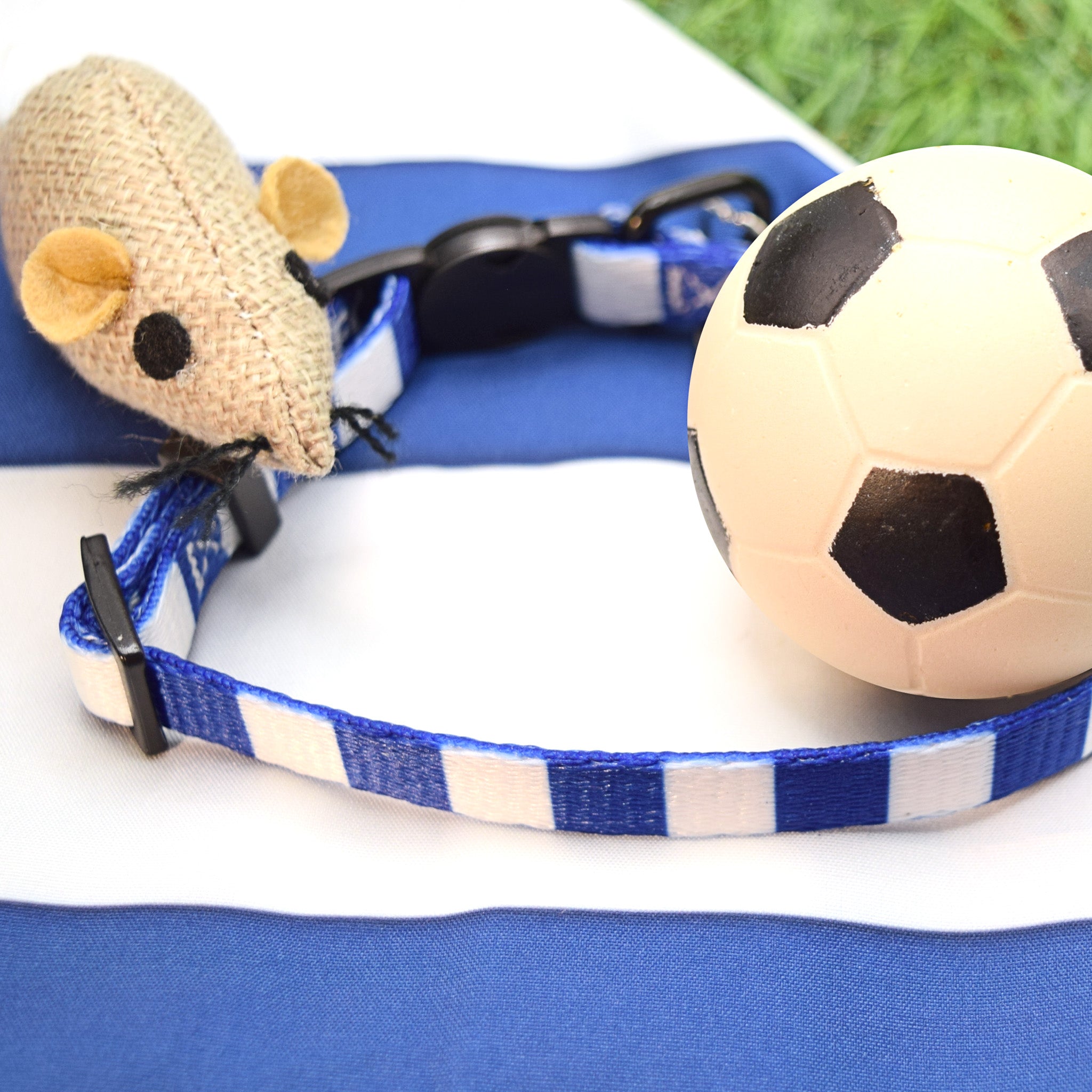Portsmouth Cat Collar - Blue & White Stripe Football Pet Collar