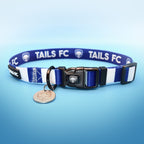 Preston Dog Collar - Blue & White Stripe Football Pet Collar