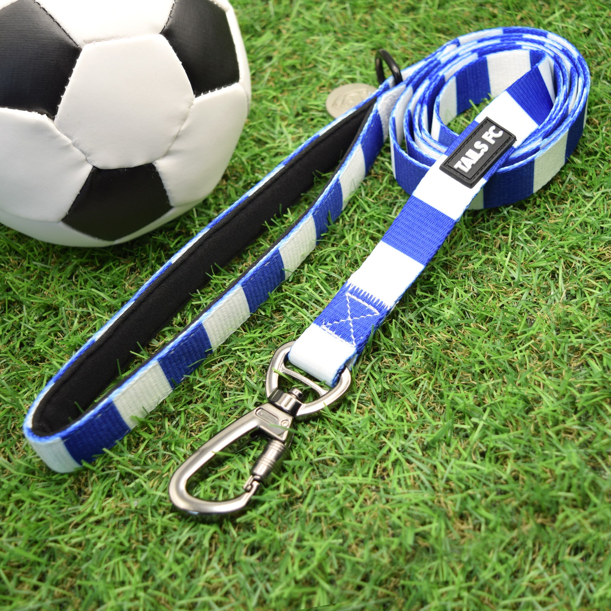 Preston Pet Lead - Blue & White Stripe Football Pet Lead