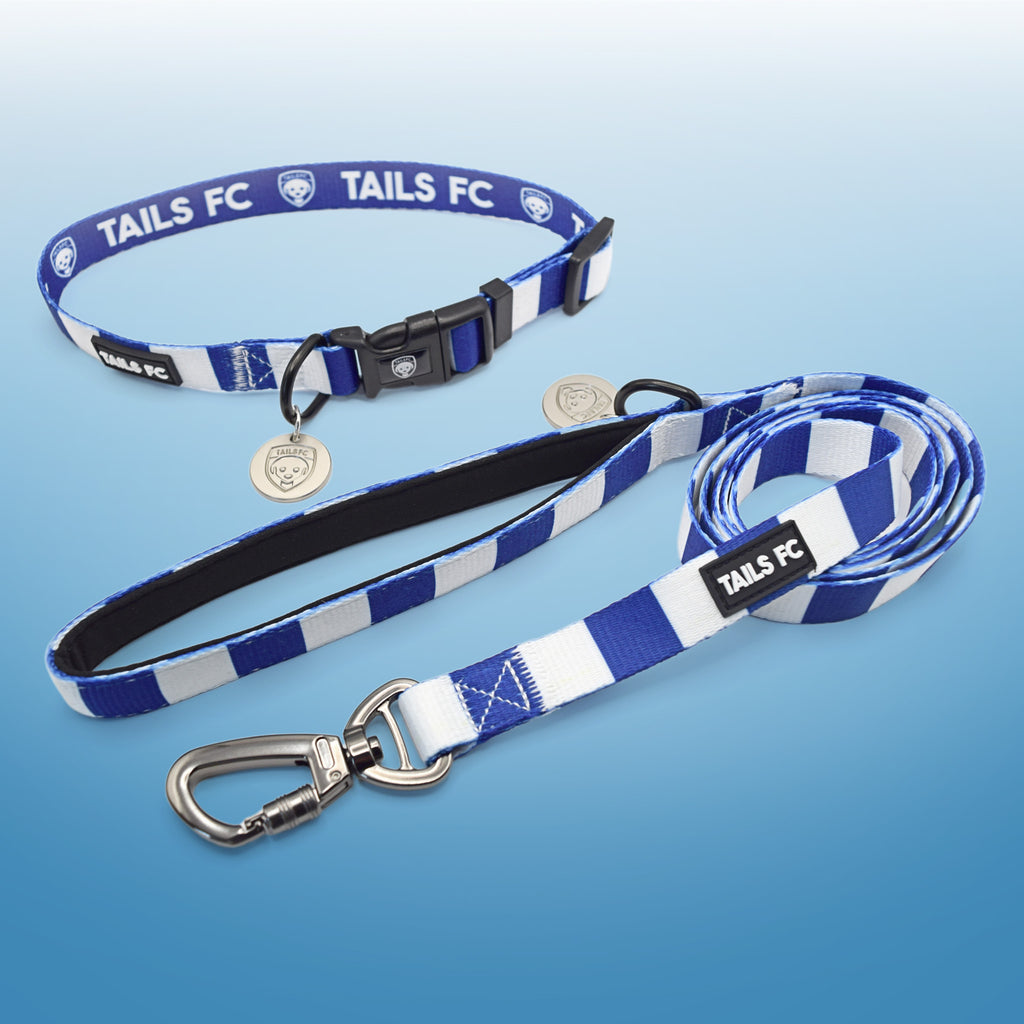 Rangers Dog Set - Blue & White Stripe Football Dog Collar and Leash Set
