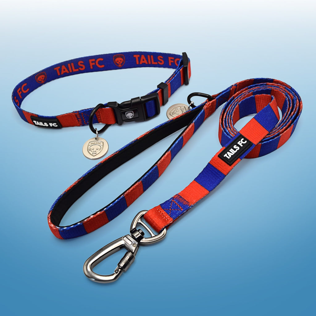 Red and Blue Dog Set - Red & Blue Stripe Football Dog Collar and Leash Set