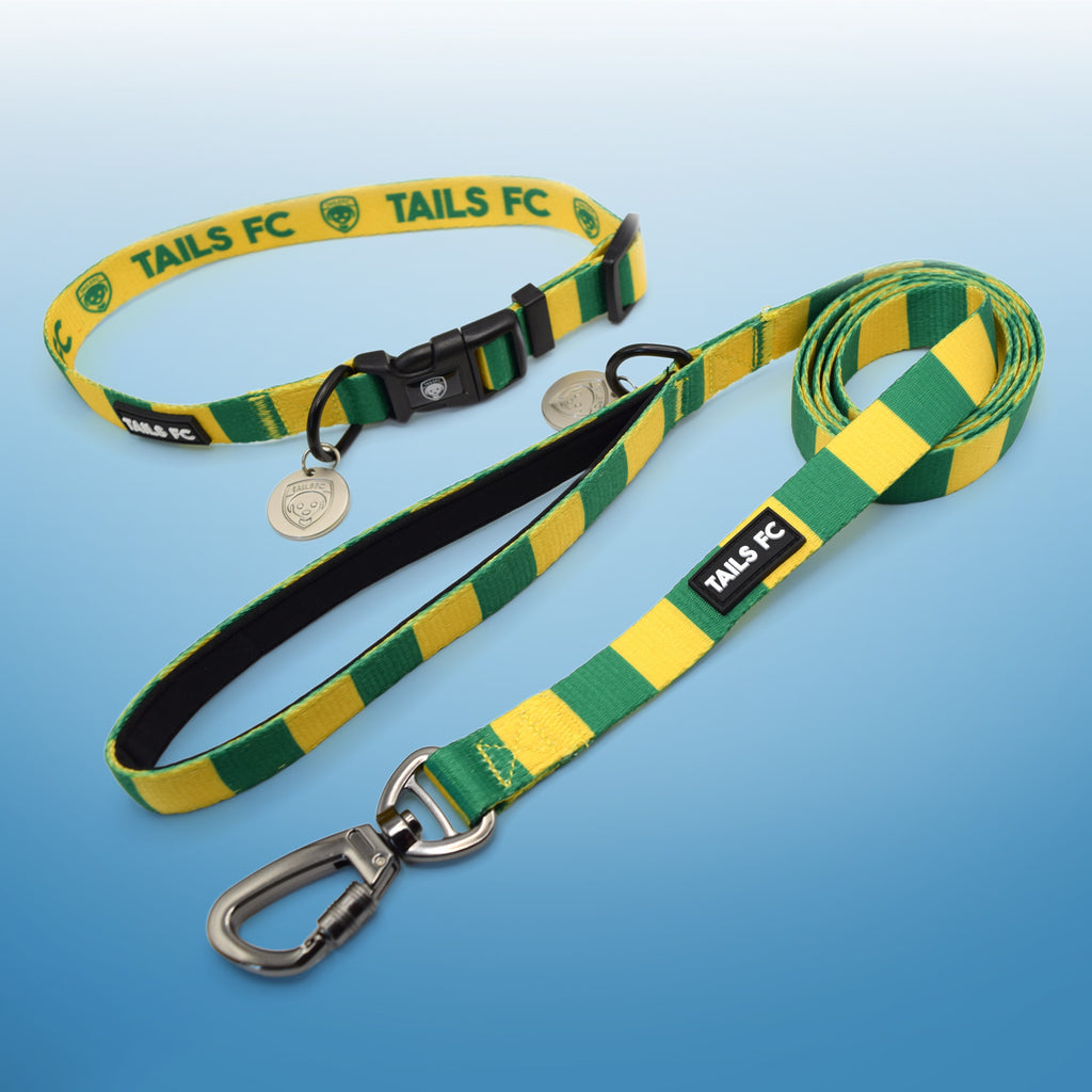 Republic of Ireland Dog Set - Green & Gold Stripe Football Dog Collar and Leash Set