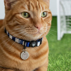 Scotland Cat Collar - Blue & White Stripe Football Pet Collar