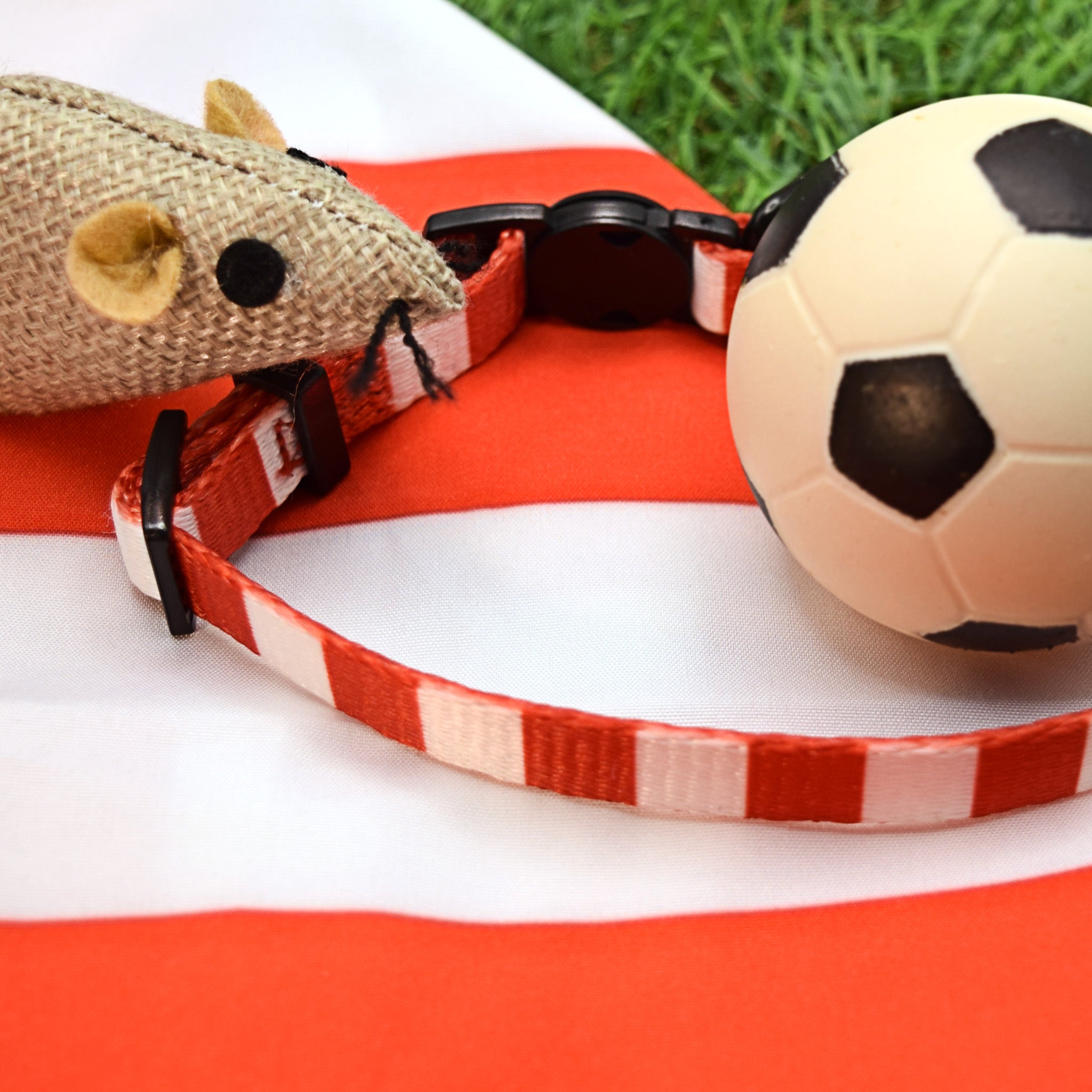 Southampton Cat Collar - Red & White Stripe Football Pet Collar
