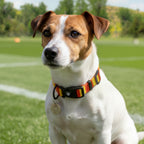 Spain Dog Set - Red & Gold Stripe Football Dog Collar and Leash Set