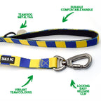 Sweden Pet Lead - Yellow & Blue Stripe Football Pet Lead