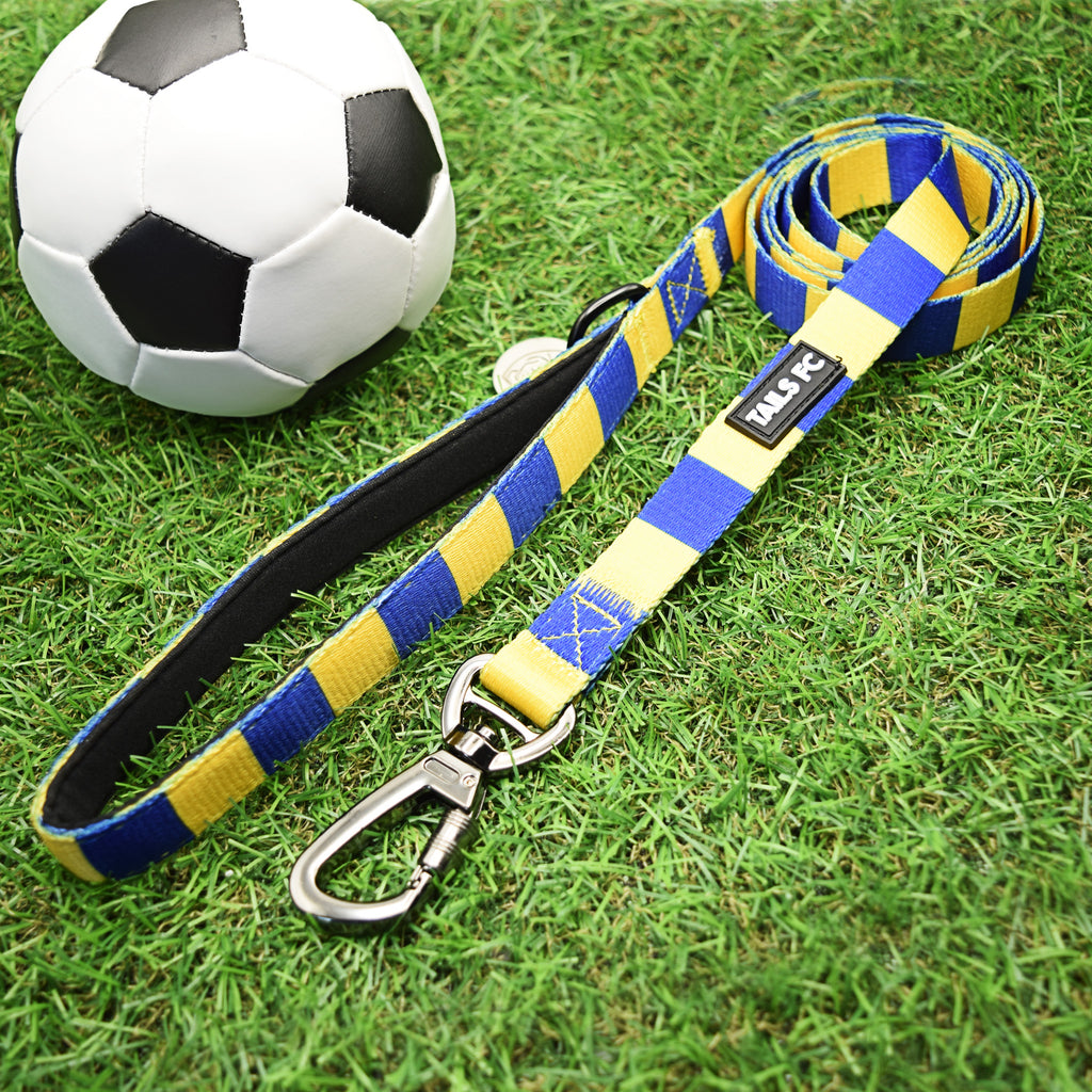 Sweden Pet Lead - Yellow & Blue Stripe Football Pet Lead
