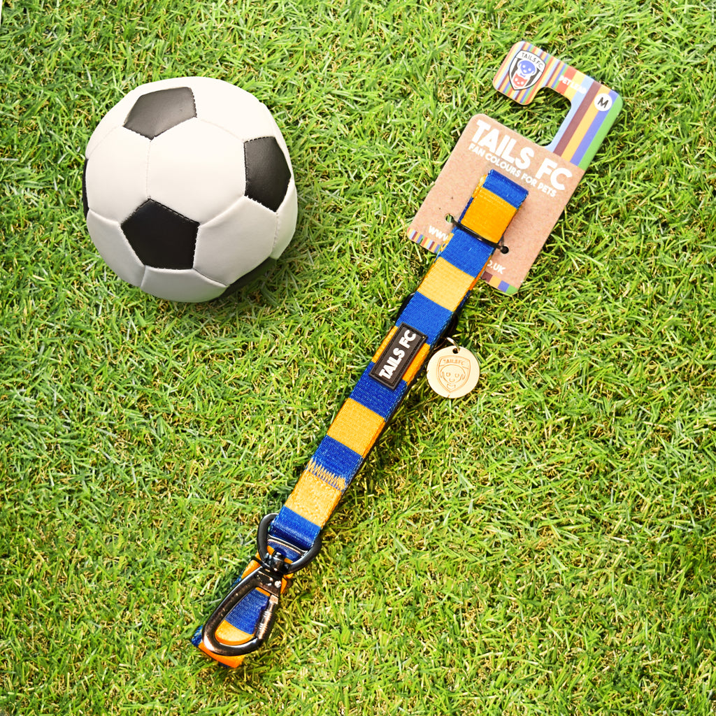 Sweden Pet Lead - Yellow & Blue Stripe Football Pet Lead