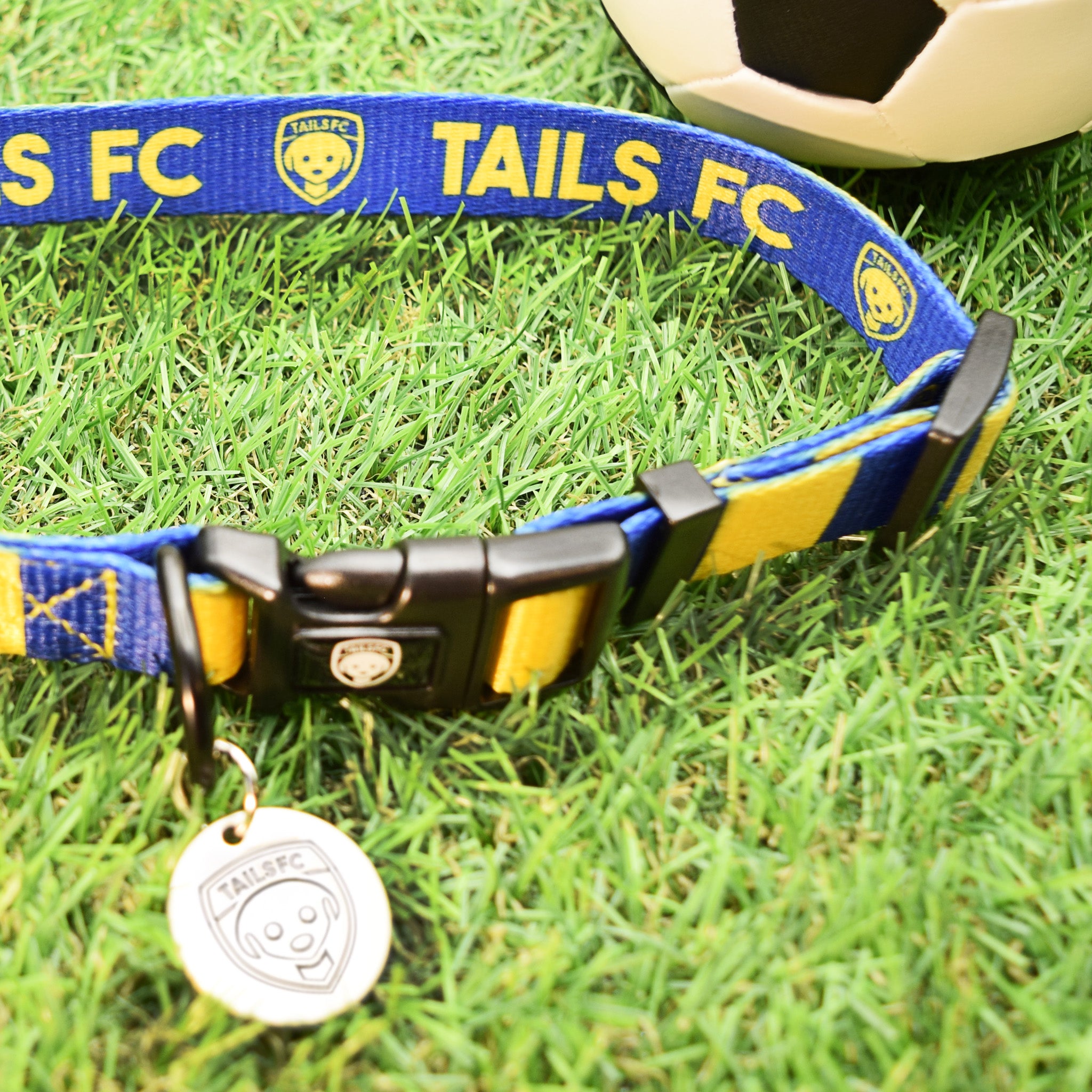 Ukraine Dog Set - Yellow & Blue Stripe Football Dog Collar and Leash Set