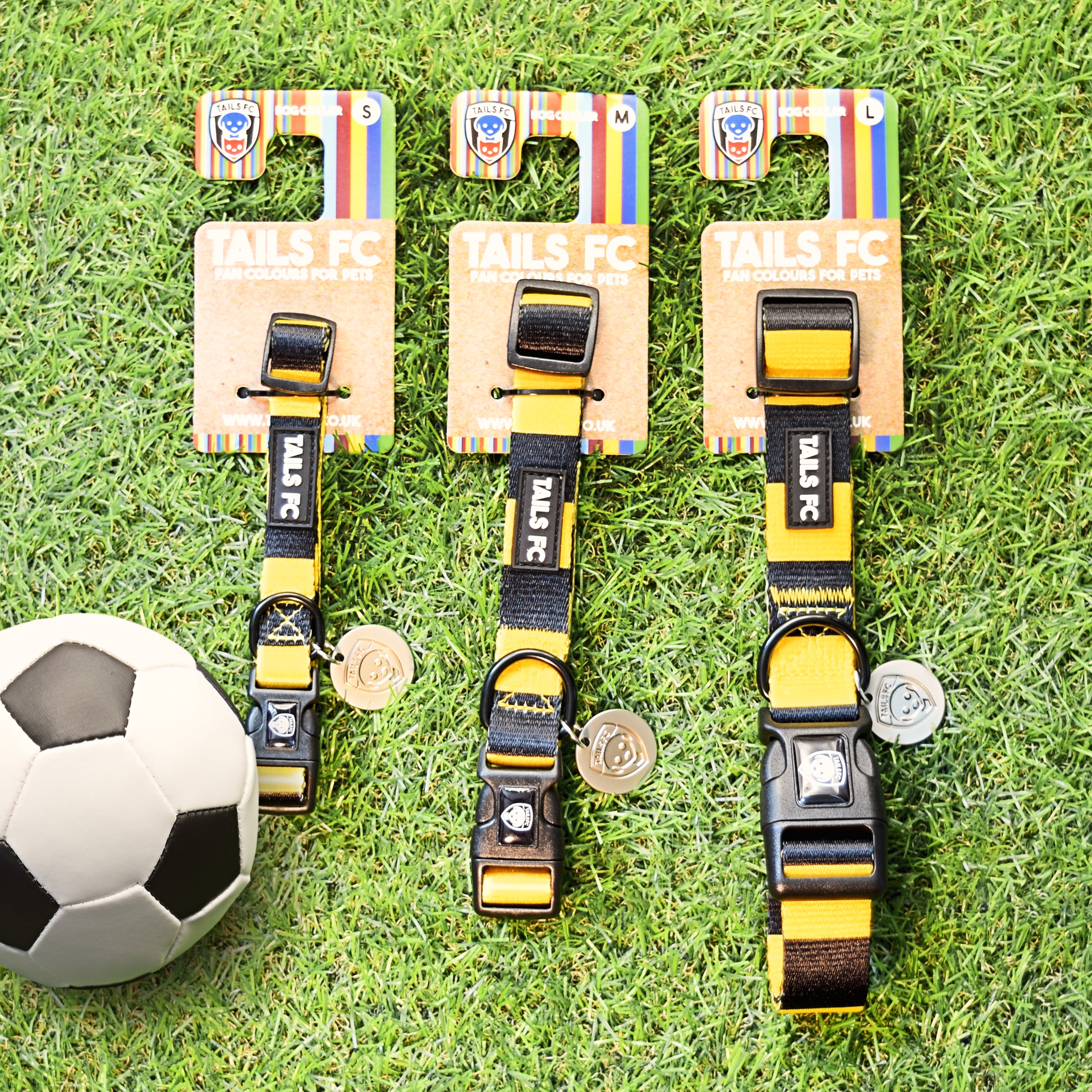 Watford Dog Collar - Gold & Black Stripe Football Pet Collar