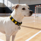 Watford Dog Collar - Gold & Black Stripe Football Pet Collar