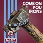 Aston Villa Pet Lead - claret & blue Stripe Football Pet Lead