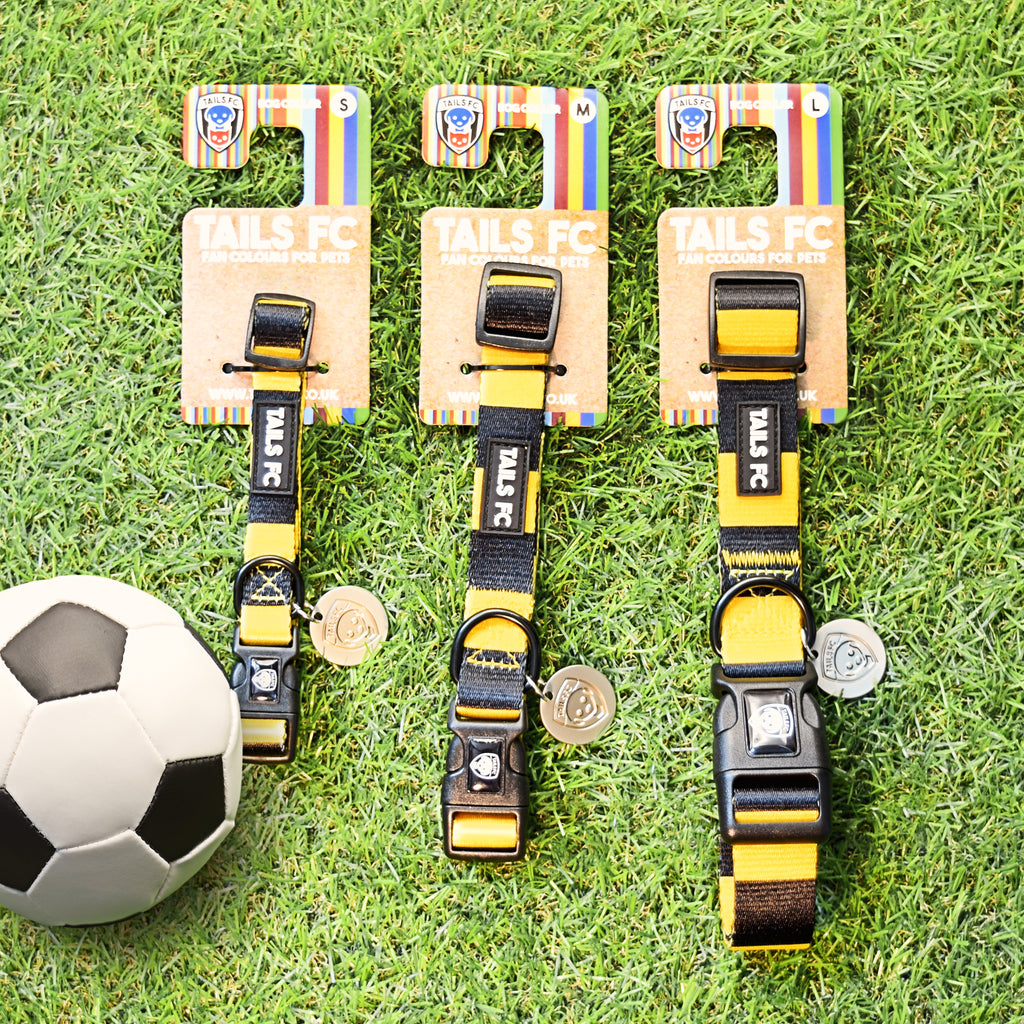Wolverhampton Dog Collar - Gold & Black Stripe Football Pet Collar