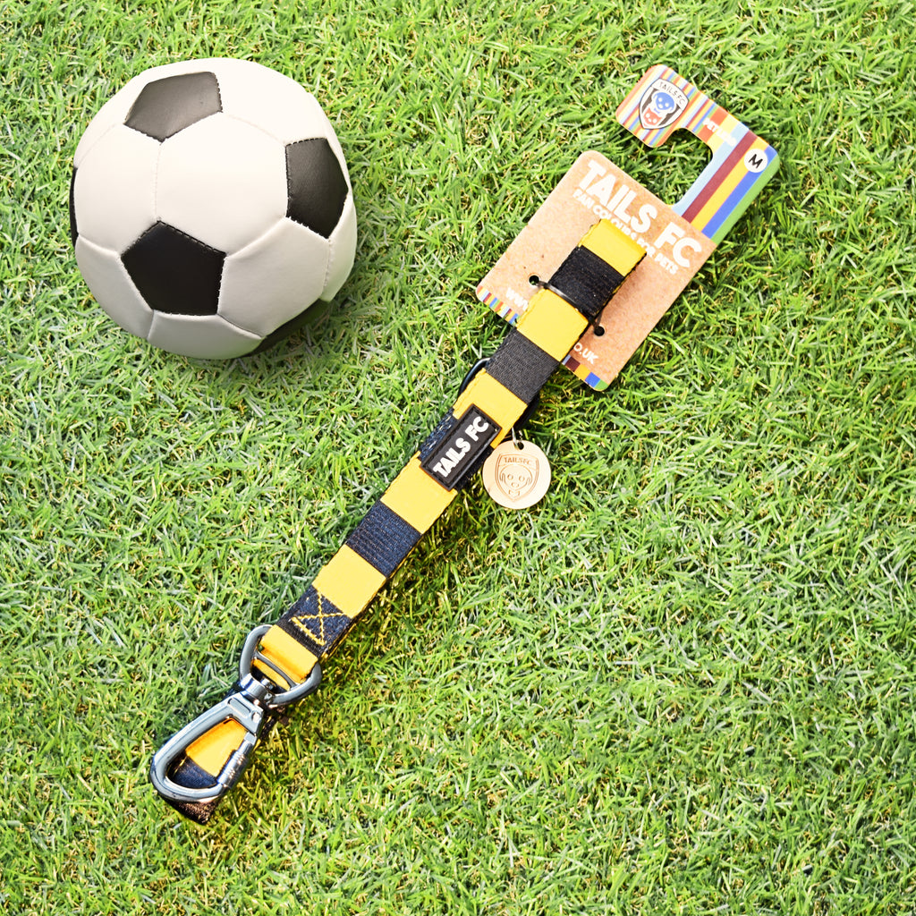 Wolverhampton Pet Lead - Gold & Black Stripe Football Pet Lead
