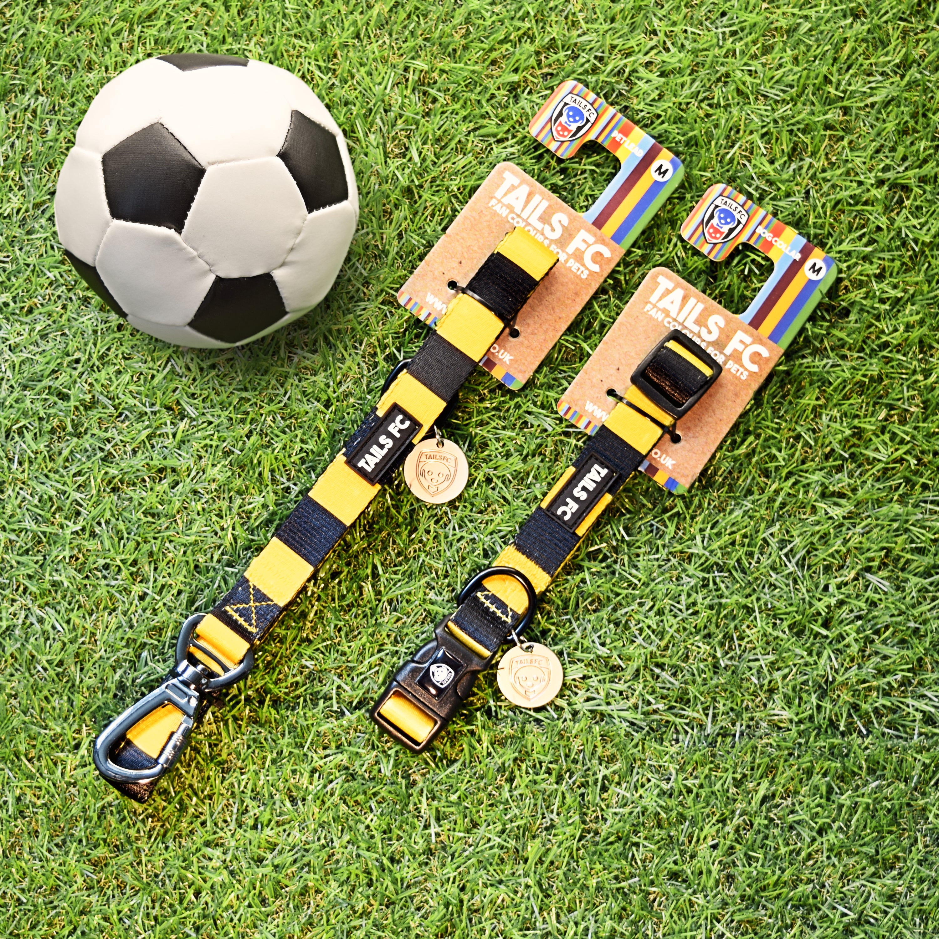 Wolverhampton Dog Set - Yellow & Black Stripe Football Dog Collar and Leash Set