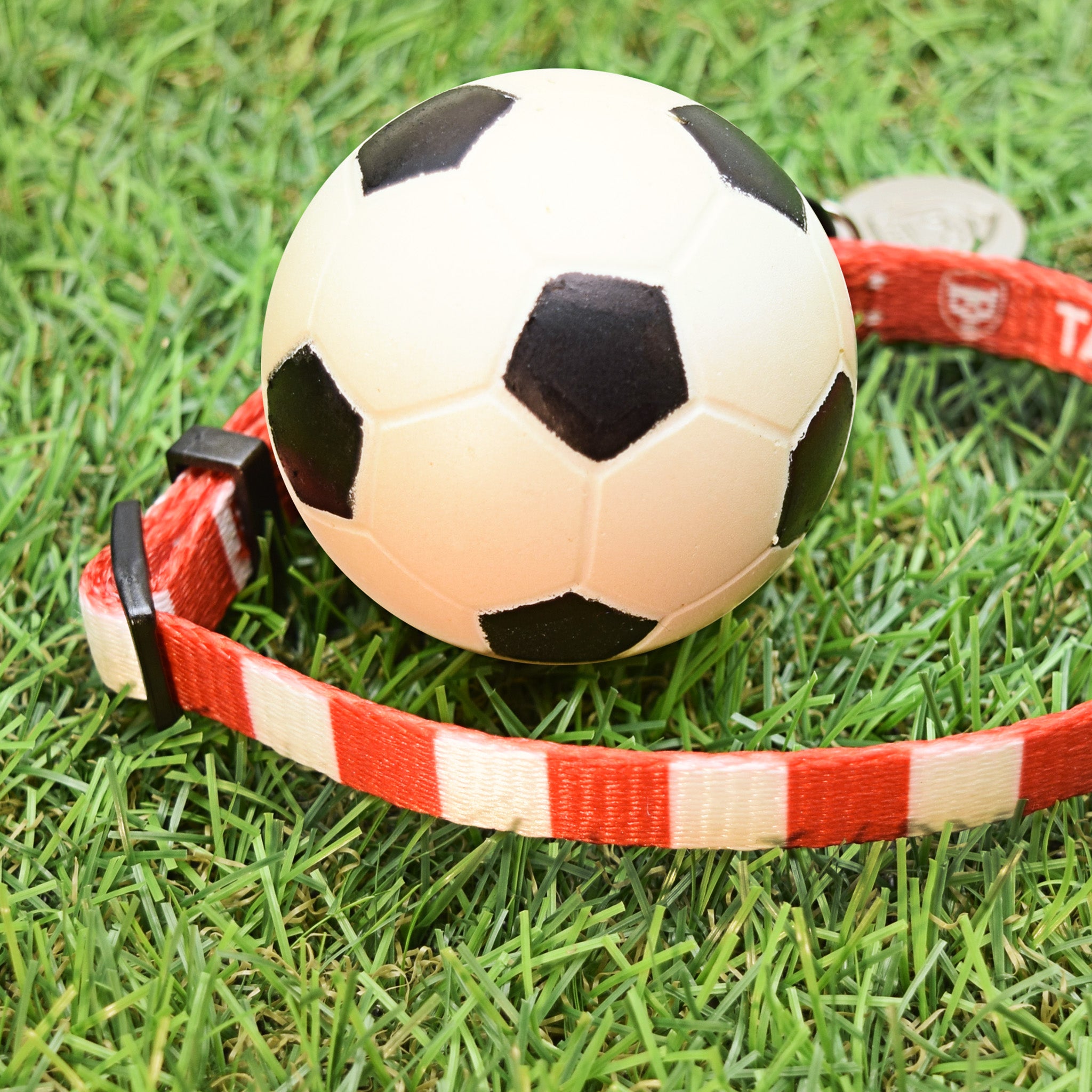 Wrexham Dog Collar - Red & White Stripe Football Pet Collar
